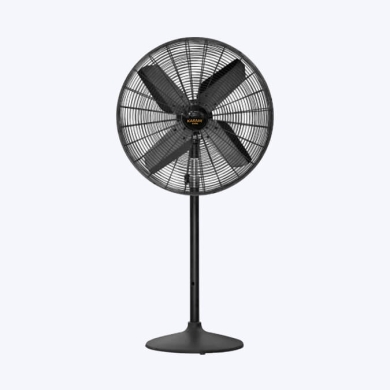 AC/DC Pedestal Fan 20''