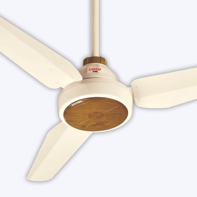 Magnum 30Watts Model